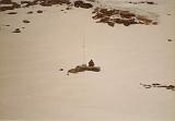 Fase de Nieve017